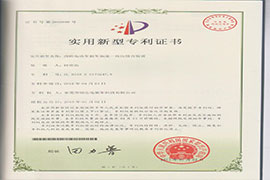 剎車加速一體化專利證書